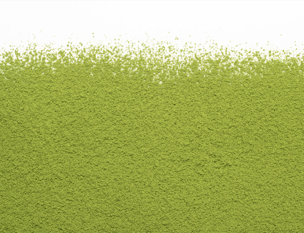 CAMELLIA PREMIUM BARISTA MATCHA - 40gr