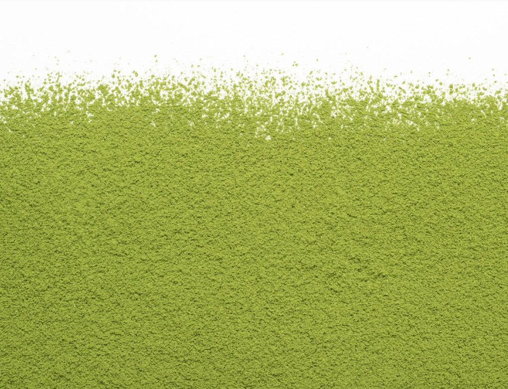 CAMELLIA PREMIUM BARISTA MATCHA - 40gr