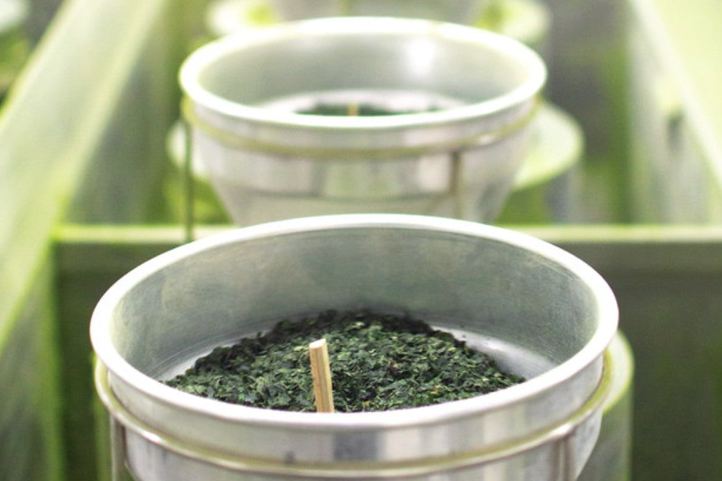 CAMELLIA PREMIUM BARISTA MATCHA - 40gr